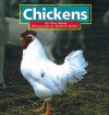 Chickens (Farm Animals) - Peter Brady