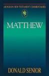 Abingdon New Testament Commentary - Matthew (Abingdon New Testament Commentaries) - Donald Senior