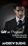 Gay and Pregnant - The Spy Who Seduced Me 3 Book Bundle - Andrew Burns