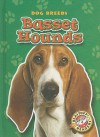 Basset Hounds - Sara Green