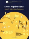 Linear Algebra Gems: Assets for Undergraduate Mathematics - David Carlson