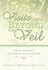 Visits from Beyond the Veil: True Stories of Angelic Visitations - Marlene Bateman Sullivan