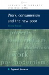 Work, Consumerism and the New Poor (Issues in Society) - Zygmunt Bauman