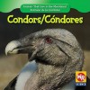 Condors/Condores - JoAnn Early Macken