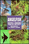 The Guide to Owning Angelfish: Diseases, Varieties, Care, Species, Breeding - Braz Walker, Herbert R. Axelrod