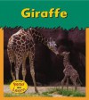 Giraffe (Heinemann Read and Learn) - Patricia Whitehouse