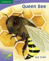 Pobblebonk Reading 6.5 Queen Bee (Pobblebonk Reading) - Lyn Traill