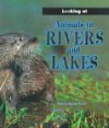 Animals in Rivers and Lakes - Moira Butterfield