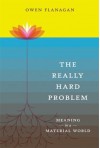 The Really Hard Problem: Meaning in a Material World (Bradford Books) Paperback - February 13, 2009 - Owen Flanagan