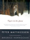 Tigers In The Snow - Peter Matthiessen, Maurice Hornocker