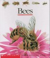 Bees - Gallimard Jeunesse