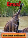 Emus! Learn About Emus and Enjoy Colorful Pictures - Look and Learn! (50+ Photos of Emus) - Becky Wolff