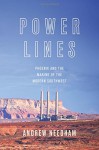 Power Lines: Phoenix and the Making of the Modern Southwest (Politics and Society in Modern America) - Andrew Needham