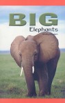 Big Elephants - Shelby Braidich