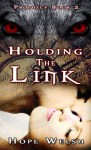 Holding the Link (Prophecy Book Two) (Prophecy Series) - Hope Welsh