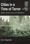 Cities in a Time of Terror: Space, Territory, and Local Resilience - Hank V. Savitch