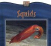 Squids - Valerie J. Weber