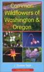 Common Wildflowers Of Washington & Oregon - J. Duane Sept