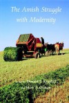 The Amish Struggle With Modernity - Donald B. Kraybill