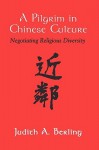 Pilgrim in Chinese Culture: Negotiating Religious Diversity - Judith A. Berling