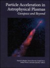 Particle Acceleration In Astrophysical Plasmas: Geospace And Beyond - Dennis L. Gallagher, Joseph Pérez