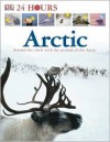 Arctic - Lorrie Mack