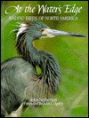 Water's Edge: Wading Birds of North America - John Netherton