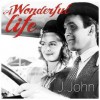 A Wonderful Life - J. John