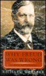 Why Freud Was Wrong: Sin, Science, And Psychoanalysis - Richard Webster