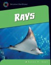 Rays - Susan H Gray