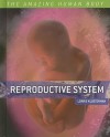 Reproductive System - Lorrie Klosterman