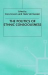 The Politics of Ethnic Consciousness - Hans Vermeulen, Cora Govers