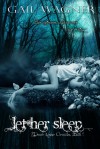 Let Her Sleep (Dream Walker Chronicles #1) - Gail Wagner