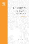 International Review of Cytology, Volume 24 - Geoffrey H. Bourne, J.F. Danielli