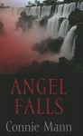 Angel Falls - Connie Mann