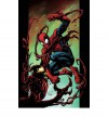 Ultimate Spider-Man, Vol. 11: Carnage - Brian Michael Bendis, Mark Bagley