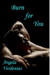 Burn for You (Gully's Fall Book 1) - Angela Verdenius