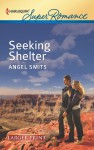Seeking Shelter - Angel Smits