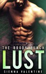 LUST: A Bad Boy and Amish Girl Romance (The Brody Bunch Book 2) - Sienna Valentine