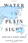 Water in Plain Sight: Hope for a Thirsty World - Judith D. Schwartz