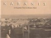 Karanis, an Egyptian Town in Roman Times: Discoveries of the University of Michigan Expedition to Egypt (1924-1935) - Elaine K. Gazda, Terry G. Wilfong