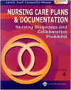 Nursing Care Plans and Documentation: Nursing Diagnosis and Collaborative Problems - Lynda Juall Carpenito