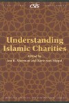 Understanding Islamic Charities (CSIS Significant Issues Series) (Significant Issues Series) - Jon B. Alterman, Karin von Hippel