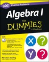 1,001 Algebra I Practice Problems For Dummies - Mary Jane Sterling