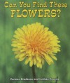 Can You Find These Flowers? - Carmen Bredeson, Lindsey Cousins