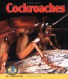 Cockroaches - Patricia L. Kite