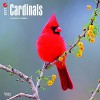 Cardinals 2017 Square (Multilingual Edition) - BrownTrout