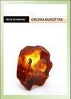 Grudka bursztynu - ebook - Piotr Bednarski