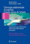 Chirurgia Addominale D'Urgenza: Il Buon Senso Di Schein - Moshe Schein, Paul N. Rogers