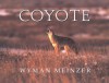 Coyote - Wyman Meinzer